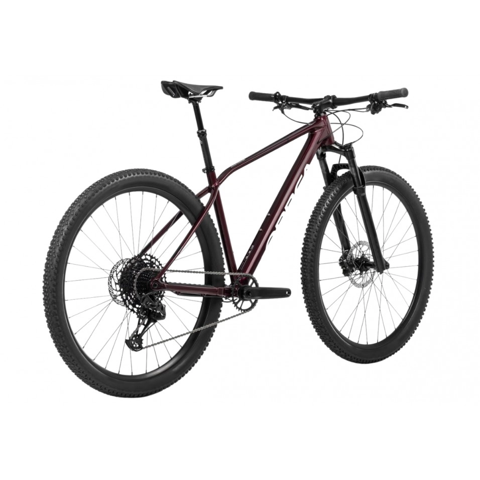 Orbea rigida discount