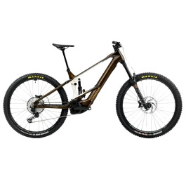 Orbea Wild M20 25 Fahrrad