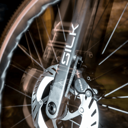 Bicicleta MEGAMO SILK​